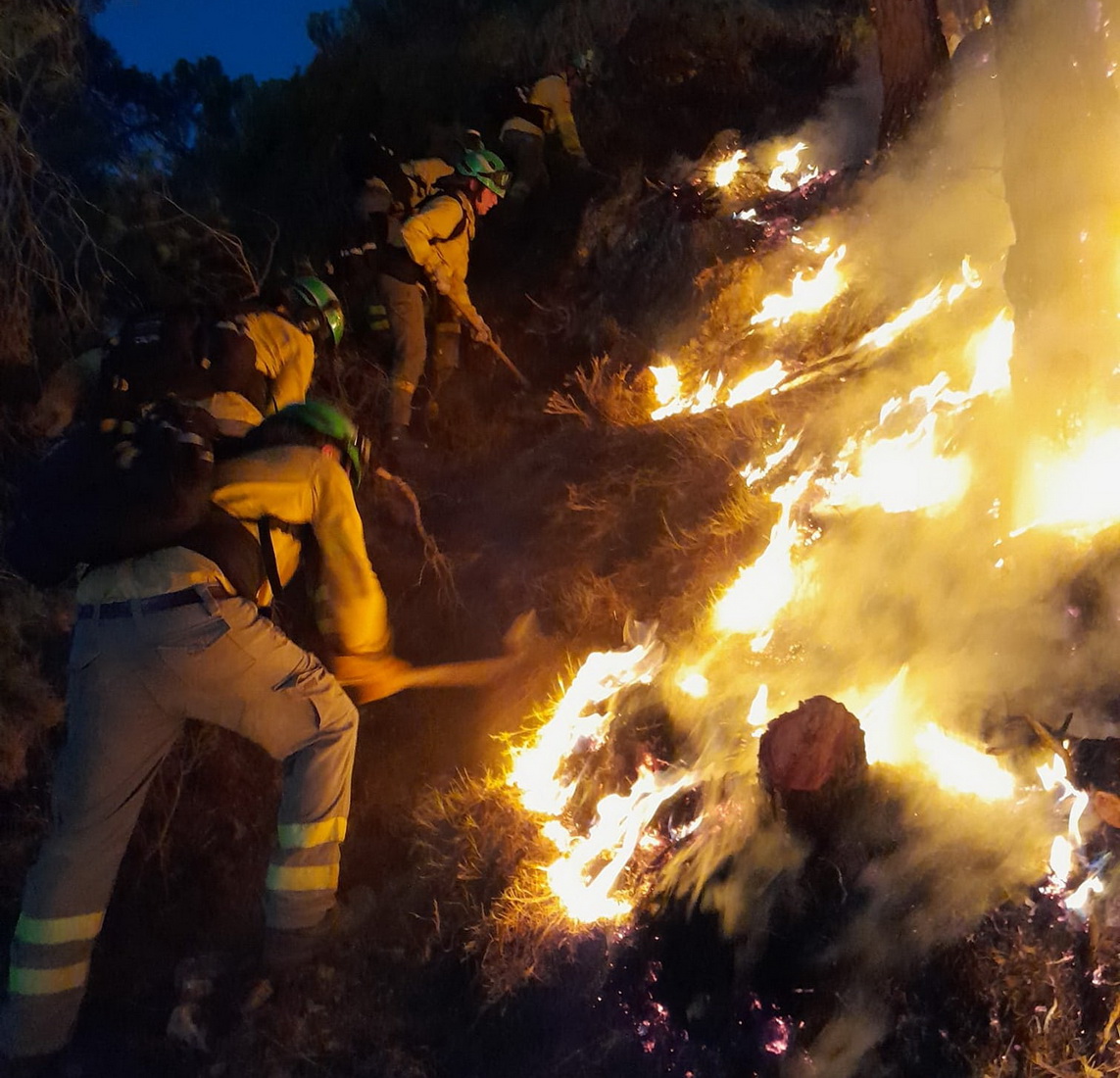 Continúa activo el incendio de Los Guájares con varias zonas activas.